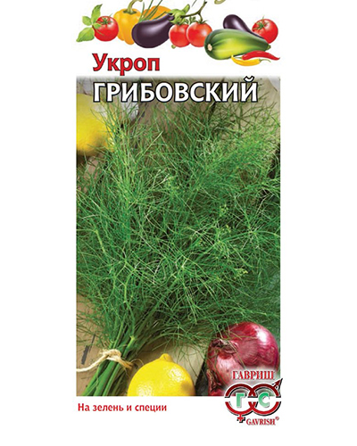 укроп грибовский
