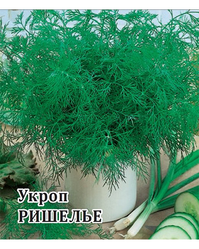 Укроп Ришелье 25,0г. Гавриш Укроп Ришелье 25,0г. Гавриш