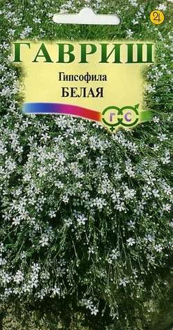 Гипсофила ползучая, Белая* 0,1 г Н9 ГАВРИШ Гипсофила ползучая, Белая* 0,1 г Н9 ГАВРИШ
