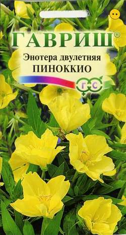 Энотера двулетняя Пиноккио 0,3 г ГАВРИШ Энотера двулетняя Пиноккио 0,3 г ГАВРИШ