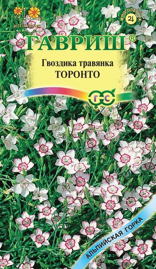 Гвоздика-травянка Торонто * 0,1 г Н12 ГАВРИШ