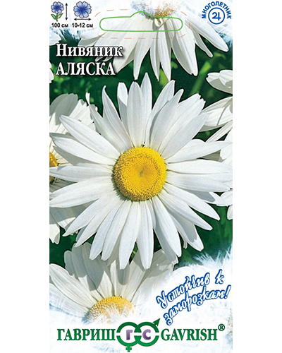 нивяник аляска