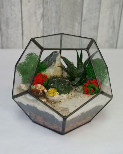 Флорариум "Додекаэдр" 15*15см. "черепашка" 00007