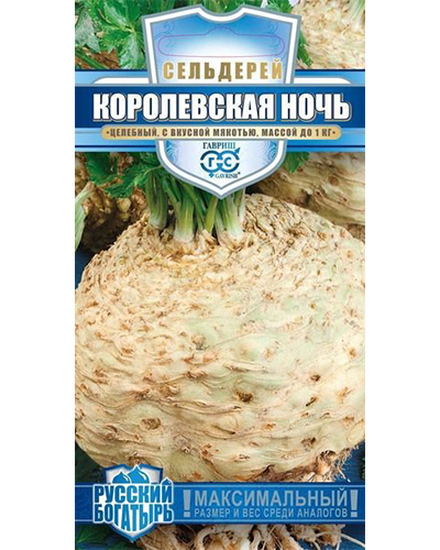 сельдерей королевксая ночь