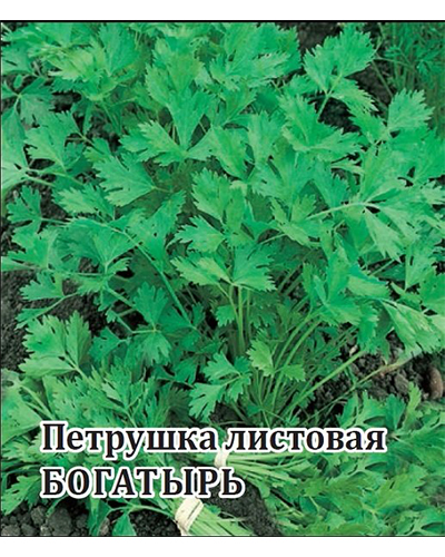 Петрушка универсальная Богатырь 25,0г. Гавриш