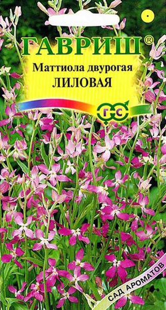 Маттиола двурогая Лиловая 0,3г. серия Лавандовые грезы ГАВРИШ