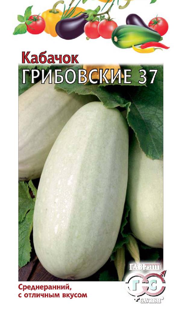 Кабачок Грибовские 37 2г. серия Традиция Н11 ГАВРИШ