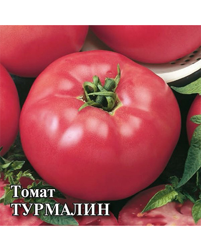 Томат Турмалин 5,0г. Гавриш Томат Турмалин 5,0г. Гавриш