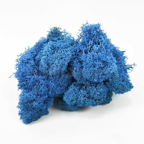 Мох Ягель стабилизированный Blue Мох Ягель стабилизированный Blue
