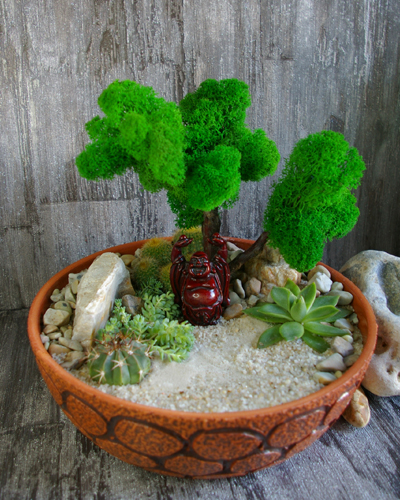 Композиция из суккулентов Хотэй 00038