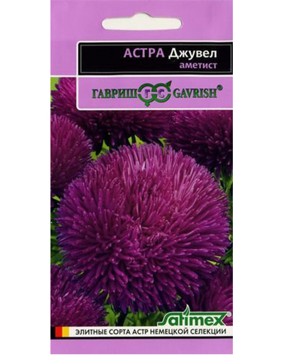 астра джувел аметист