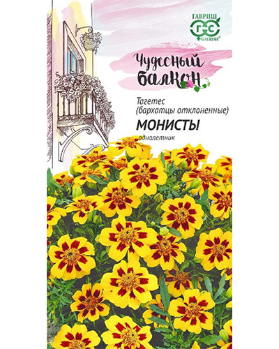 бархатцы монисты
