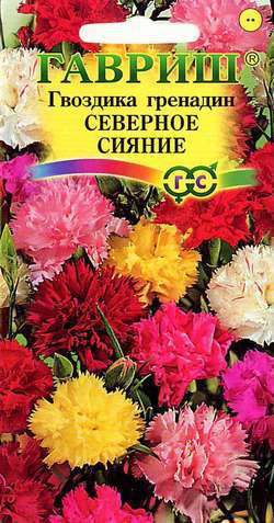 Гвоздика садовая гренадин Северное сияние*, смесь 0,1 г ГАВРИШ