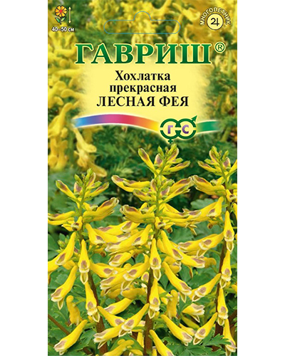 хохлатка лесная фея