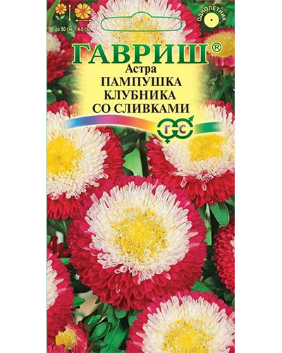 Астра Пампушка клубника со сливками 0,3г. (помпонная) ГАВРИШ 