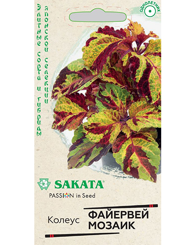 Колеус Файервей Мозаик 4шт. Саката H20 ГАВРИШ