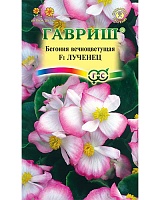 Бегония Лученец F1 вечноцветущая, гранулы 5шт. в пробирке Гавриш