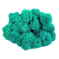 Мох Ягель стабилизированный Tiffany