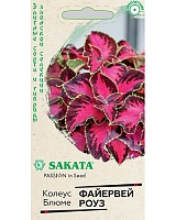 Колеус Файервей Роуз 5шт. Саката ГАВРИШ