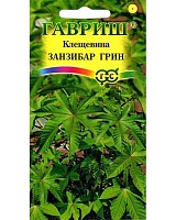 Клещевина Занзибар Грин 5шт. DH ГАВРИШ 
