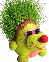 Травянчик Микс (голова с травой)
