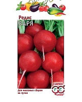 Редис Заря 3,0г. Гавриш