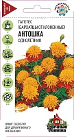 Бархатцы отклоненные Антошка (Тагетес) 0,3г. Удачные семена ГАВРИШ