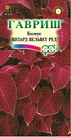 Колеус Визард Вельвет ред 4шт.* Элитная клумба Н15 ГАВРИШ