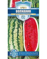 Арбуз Волжанин 1г. серия Русский богатырь Гавриш