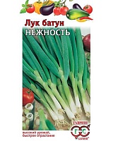 Лук батун Нежность 0,5г. Гавиш