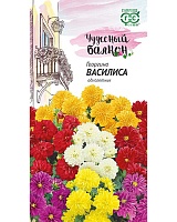 Георгина Василиса 0,3г. серия Чудесный Балкон Гавриш