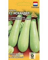 Кабачок Искандер F1 5шт. (Голландия) Гавриш