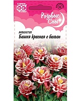 Аквилегия Башня красная с белым, обыкновенная 0,05г. серия Розовые сны Н20 ГАВРИШ
