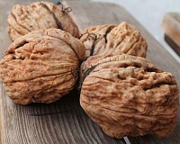 Грецкий орех Бомба Грецкий орех Бомба