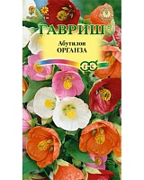 Абутилон Органза, смесь 10шт ГАВРИШ