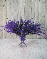 Ветка Лаванды узколистной