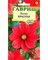 Космея Красная 0,3г. ГАВРИШ