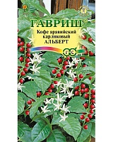 Кофе аравийский карликовый Альберт 5шт. Гавриш