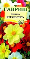 Георгина Веселые ребята 0,3г. ГАВРИШ