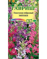Пенстемон гибридный Энтони, смесь 0,1г. Гавриш