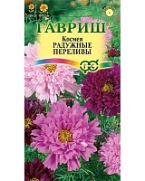 Космея махровая Радужные переливы 0,1г. Гавриш